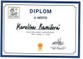 Diplom